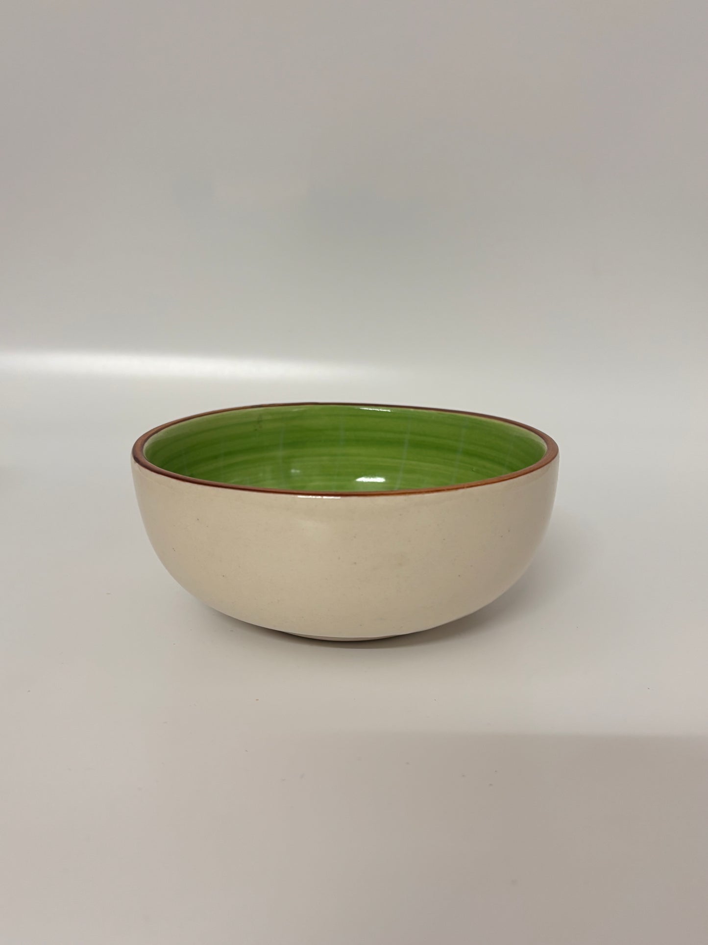 Kiwi-Themed Hand-Painted
 Ceramic Bowl