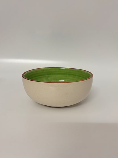 Kiwi-Themed Hand-Painted
 Ceramic Bowl