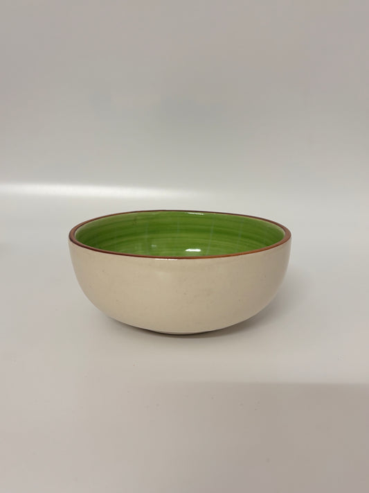 Kiwi-Themed Hand-Painted
 Ceramic Bowl