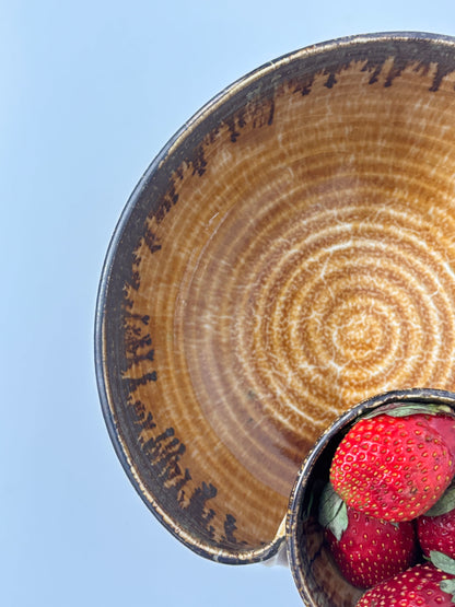 Brown Ribbed Ceramic Dip Bowl with Snack
 Section